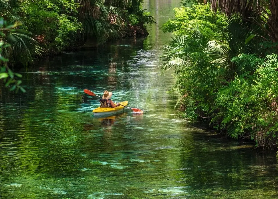 Person kayaking through Floriday waterway