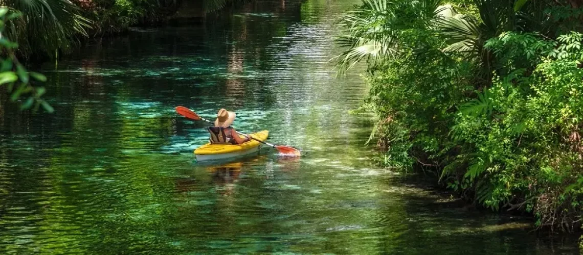 Person kayaking through Floriday waterway